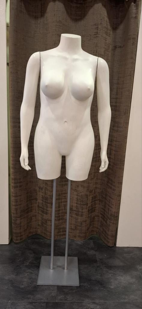 Bovenlichaam paspop maat 46 voor kleding/creatief, Ophalen, Gebruikt