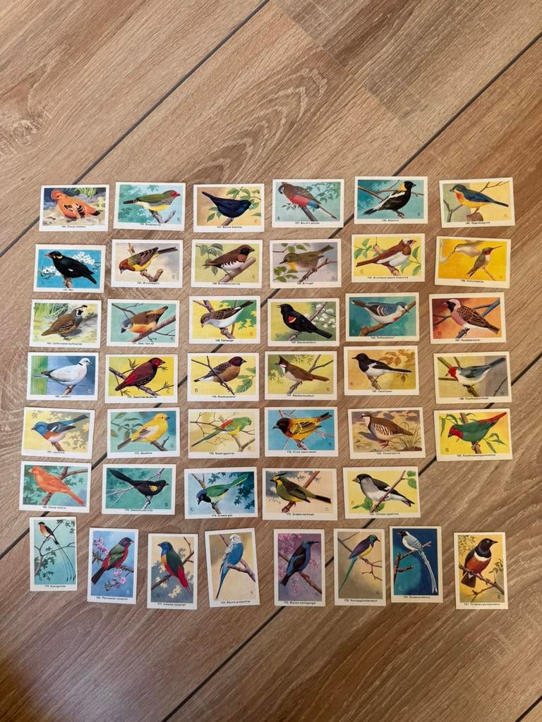 [tk] Rizla vogel plaatjes 43 stuks, Ophalen of Verzenden, Zo goed als nieuw, Meerdere plaatjes