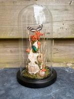 Glazen stolp met geprepareerde vlinder en insecten, Verzamelen, Ophalen of Verzenden, Insect, Opgezet dier