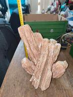 Aquarium rots, Ophalen, Gebruikt, Leeg aquarium