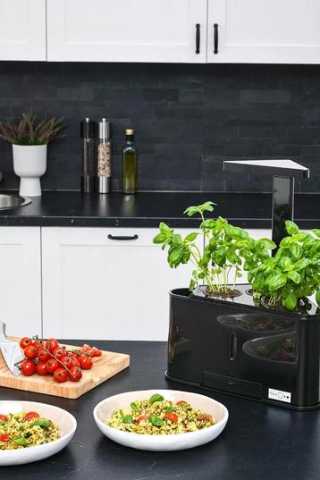 Hydrophonics binnentuin beschikbaar voor biedingen