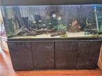 Mooie unieke aquarium 180cm, Dieren en Toebehoren, Ophalen, Gebruikt, Gevuld zoetwateraquarium