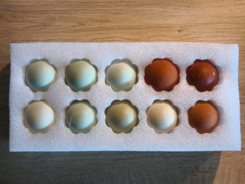 Broedeieren kleurleggers groenleggers olivegger, Dieren en Toebehoren, Pluimvee, Kip, Geslacht onbekend
