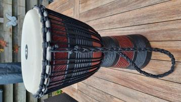 Mooie djembe van meinl beschikbaar voor biedingen