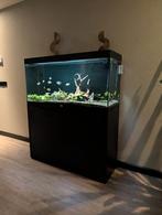 Aquatlantis splendid 120 te koop met inhoud, Ophalen, Gebruikt, Gevuld zoetwateraquarium