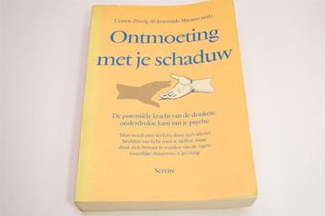 Ontmoeting met je Schaduw — Kracht van het Donkere Zelf beschikbaar voor biedingen
