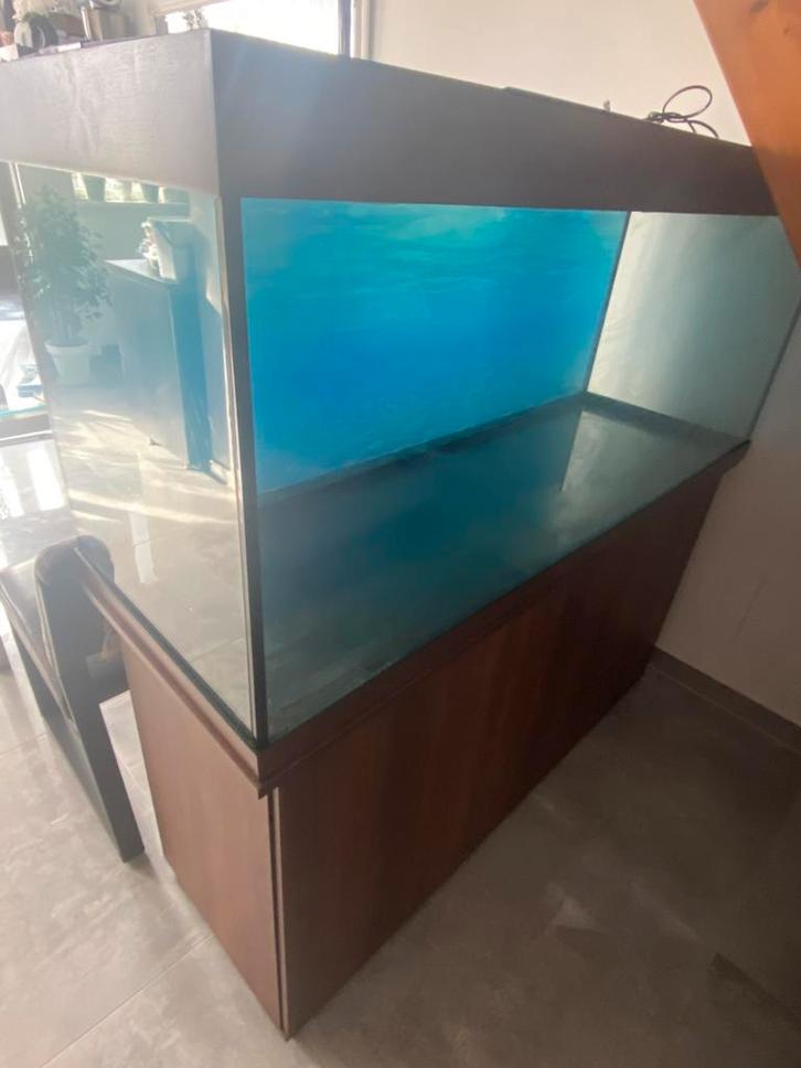 Aquarium van Juwel + externe filter + accessoires, Dieren en Toebehoren, Vissen | Aquaria en Toebehoren, Zo goed als nieuw, Leeg aquarium