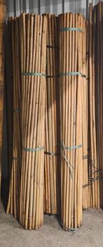 Te koop: restpartij bamboestokken/ tonkinstokken
,, Ophalen, Nieuw, 200 cm of meer, 150 tot 200 cm