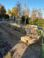 Gratis- stapelblokken- grijs beton uiterlijk 21/11, Tuin en Terras, Ophalen, Gebruikt, Minder dan 25 cm, Border