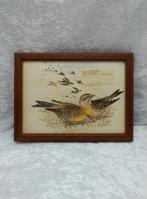 Yellow-Hammers feeding in stubble, door Edith Holden, Verzenden, Gebruikt