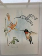 Mooie ets zeefdruk print van Sue Coleman met kolibrie., Antiek en Kunst, Kunst | Litho's en Zeefdrukken, Ophalen of Verzenden