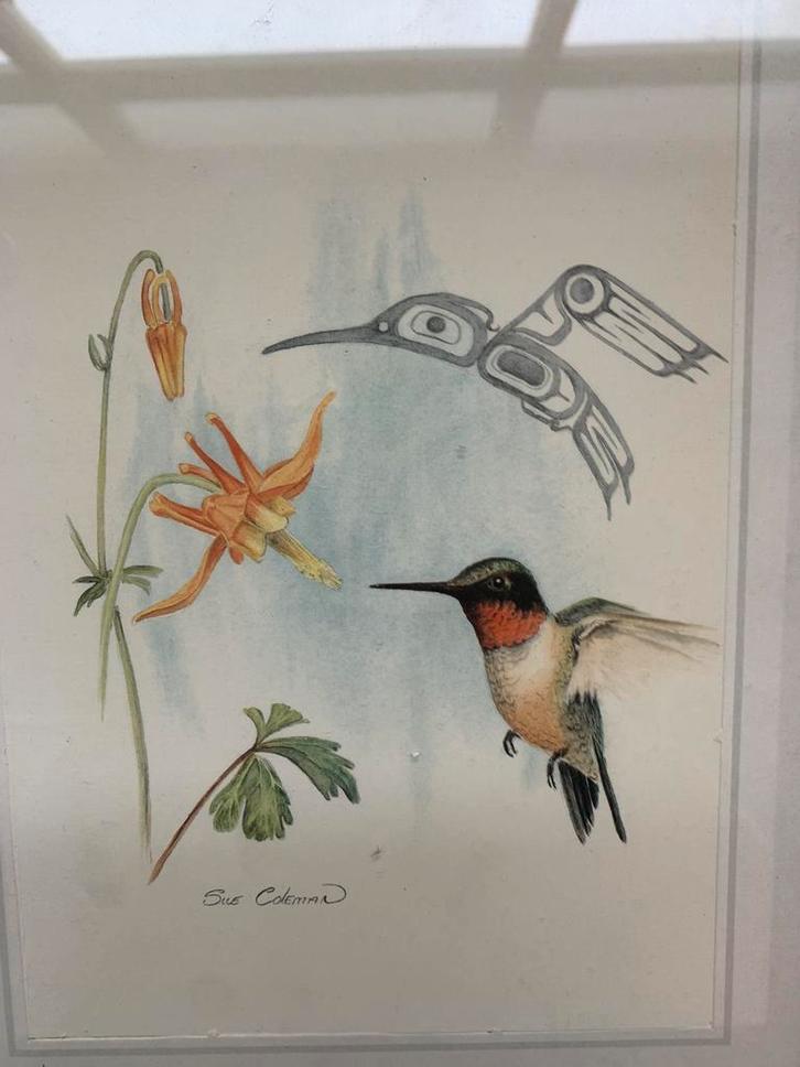 Mooie ets zeefdruk print van Sue Coleman met kolibrie., Antiek en Kunst, Kunst | Litho's en Zeefdrukken, Ophalen of Verzenden