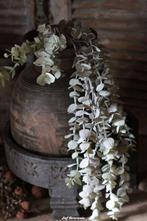 Eucalyptus hanger, Www.jufbrocante.nl, Www.jufbrocante.nl, Nieuw, Ophalen of Verzenden