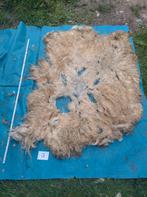 Ruwe mergellandwol 13, Hobby en Vrije tijd, Ophalen of Verzenden