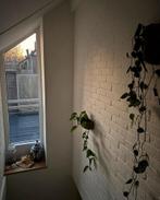 Present Time Muurbloempot Keramiek - Stijlvol & Ruimtebespar, Ophalen, Zo goed als nieuw