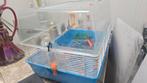 Hamster  kooi met spullen en nog veel  eten, Dieren en Toebehoren, Ophalen, Kooi, 60 tot 90 cm, Zo goed als nieuw