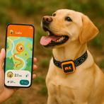 GPS tracker (zonder abonnement) voor je hond of kat (nieuw!), Dieren en Toebehoren, Ophalen of Verzenden, Nieuw