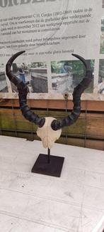 hoorn op standaard, Antiek en Kunst, Curiosa en Brocante, Ophalen of Verzenden