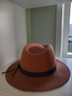 Bruine vilten hoed met band, Onbekend, Ophalen of Verzenden, Zo goed als nieuw, Hoed