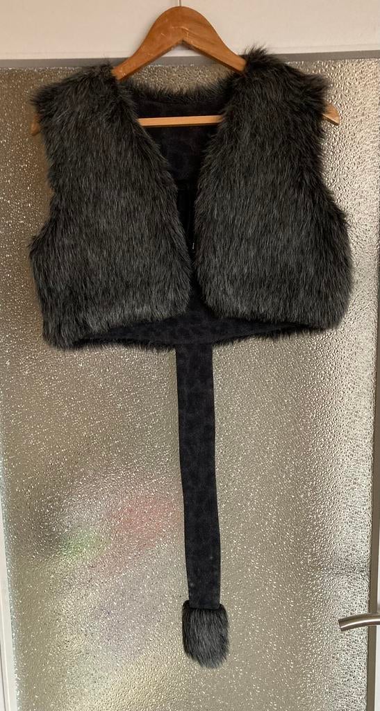 Poezen bodywarmer carnaval 122-140, Ophalen of Verzenden, Zo goed als nieuw, 122 t/m 128, Jongen of Meisje