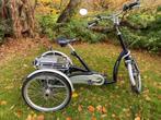 Electrische driewieler: Van Raam Maxi Comfort, Fietsen en Brommers, Fietsen | Driewielfietsen, Verzenden, Gebruikt