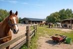 Gezocht: pensionstal rondom Beemster/Edam, Dieren en Toebehoren, Stalling en Weidegang, Stalling, 1 paard of pony