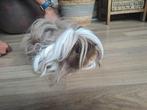 2 Lunkarya Cavia's, compleet met Kooi ed., Cavia, Februari, Meerdere dieren, Tam