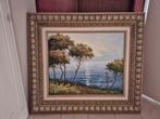 Schilderij met Zeegezicht, Antiek en Kunst, Kunst | Schilderijen | Klassiek, Ophalen
