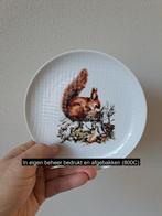 Ontbijtbord met Eekhoorn, porselein D17XH2cm, Nieuw, Ophalen of Verzenden, Bord(en), Overige stijlen