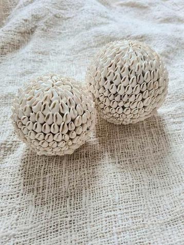 Schelpen decoratie bol 3 wit uit Bali  beschikbaar voor biedingen