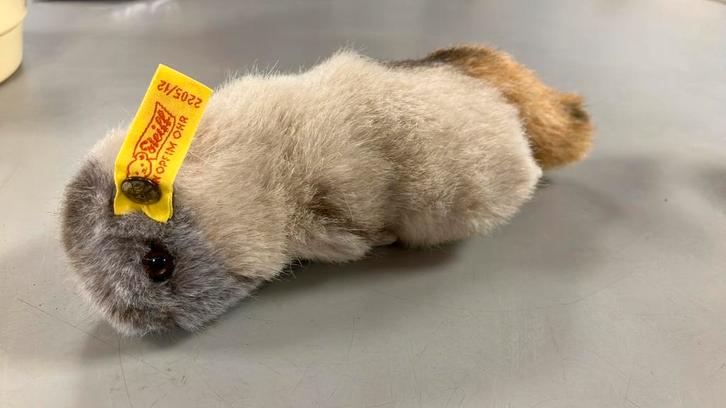 Steiff marmot, Verzamelen, Dierenverzamelingen, Opgezet dier, Overige soorten, Ophalen of Verzenden