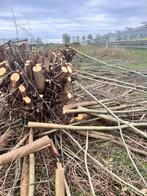Stammen en takken, Tuin en Terras, 3 tot 6 m³, Ophalen, Overige houtsoorten, Takken
