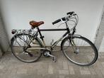 Koga Miyata Roadrunner - Klassieker!, Ophalen, Gebruikt, Meer dan 20 versnellingen, Koga Miyata
