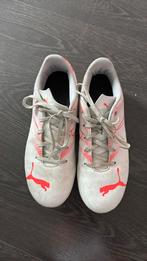Puma voetbalschoenen, Sport en Fitness, Voetbal, Ophalen of Verzenden, Gebruikt, Schoenen