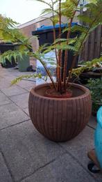 Bloempot Bamboolook, Ophalen of Verzenden, Nieuw, Rond, Minder dan 60 cm