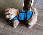 Honden zwemvest XS, Ophalen of Verzenden, Zo goed als nieuw