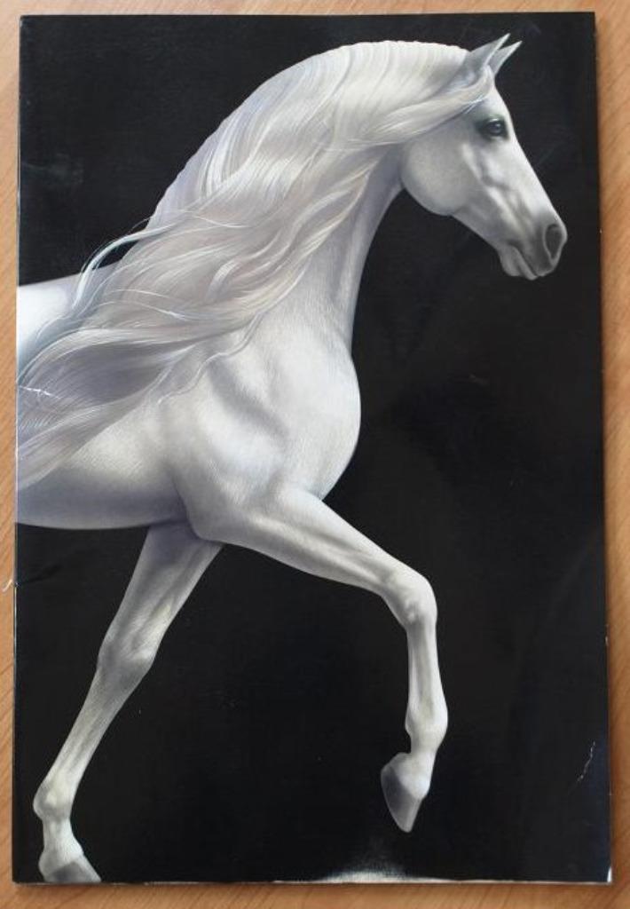 Souvenirbrochure CAVALIA (paarden) - origineel - IZGST, Verzamelen, Muziek, Artiesten en Beroemdheden, Zo goed als nieuw, Overige typen