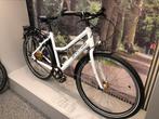 Santos Travel Lite 53 Gebruikt. Rohloff Son Gates Belt Drive, Overige merken, 28 inch, 10 tot 15 versnellingen, .