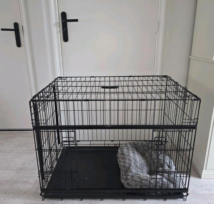 Honden bench, Dieren en Toebehoren, Hondenbenches, Nieuw, Ophalen