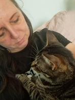 Franny the catnanny, kattenoppas Nijmegen