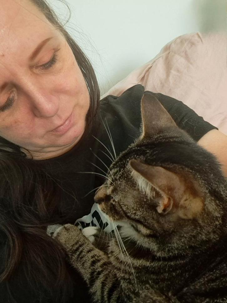 Franny the catnanny, kattenoppas Nijmegen, Dieren en Toebehoren, Katten en Kittens | Overige Katten