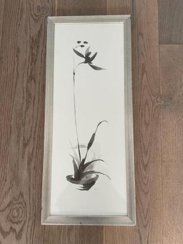 Basic zwart witte aquarel. Botanisch / Oosters. Gesigneerd beschikbaar voor biedingen