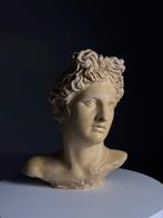 Hoofd Beeld Apollo klassiek, Antiek en Kunst, Kunst | Beelden en Houtsnijwerken, Ophalen of Verzenden