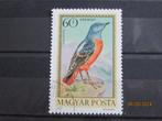 POSTZEGEL  HONGARIJE - VOGEL   =858-B=, Postzegels en Munten, Postzegels | Europa | Hongarije, Ophalen of Verzenden, Gestempeld