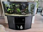 Te koop juwel vision 450, Dieren en Toebehoren, Ophalen, Zo goed als nieuw, Gevuld zoetwateraquarium
