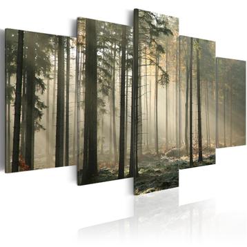 814 Natuur Bos Bomen 5 Luik Canvas Schilderij 200x100cm beschikbaar voor biedingen