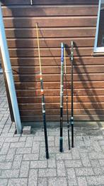 2 zeevis hengels, Watersport en Boten, Hengelsport | Zeevissen, Ophalen, Gebruikt, Vaste hengel