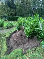 Tuin onderhoud, Ophalen, Nieuw