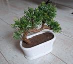 Kunstmatige Bonsai Boom in Pot, Ophalen of Verzenden, Nieuw, Binnen