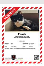 Panda vermist, Dieren en Toebehoren